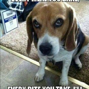 Meet your Posher, Elaine